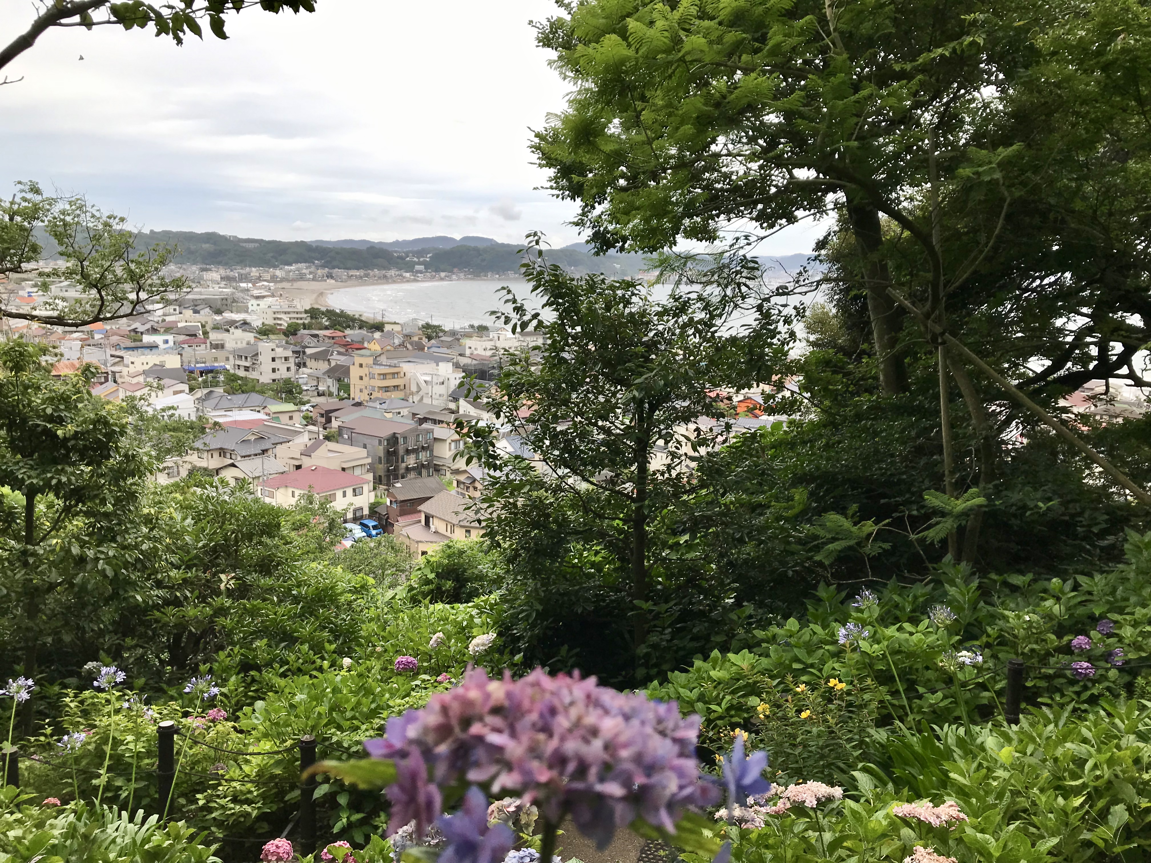 あじさい路からの由比ヶ浜