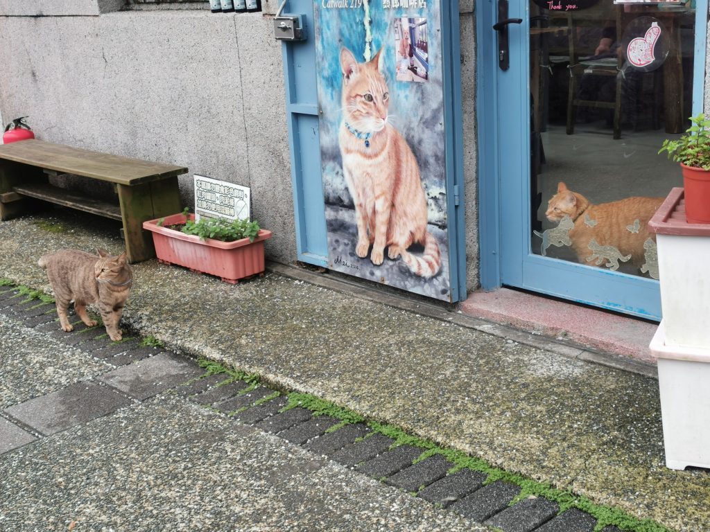 侯硐の猫カフェ