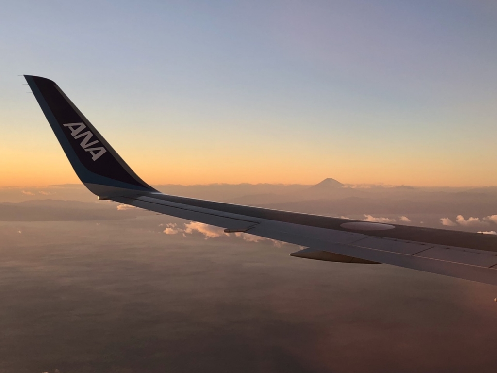 機内から望む富士山